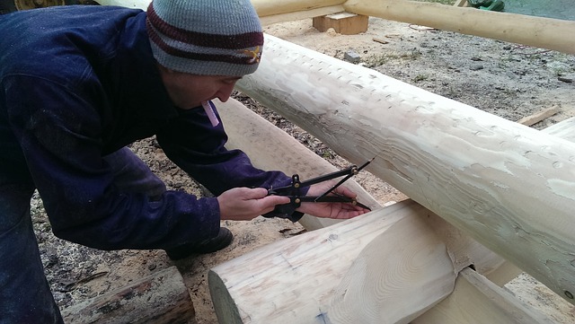 Budowa domów drewnianych